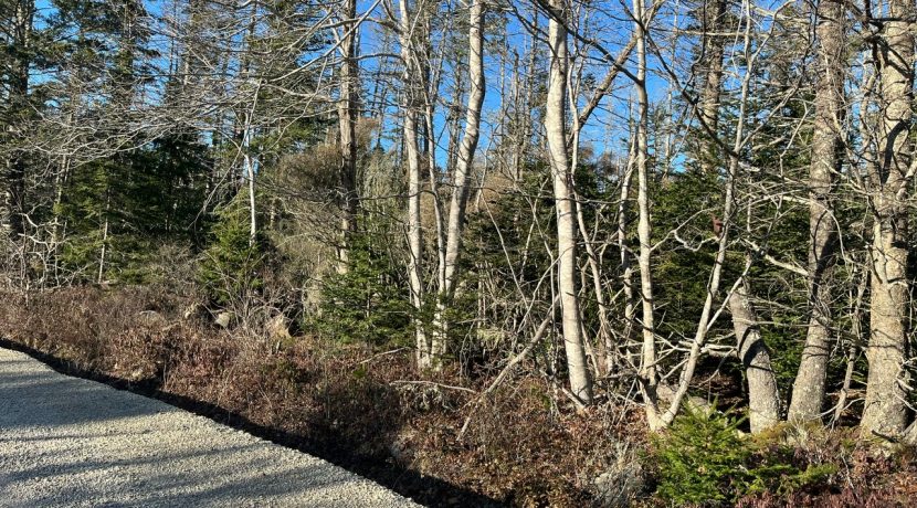 44CF5D73-3677-460D-B661-3BCBC7262C1D