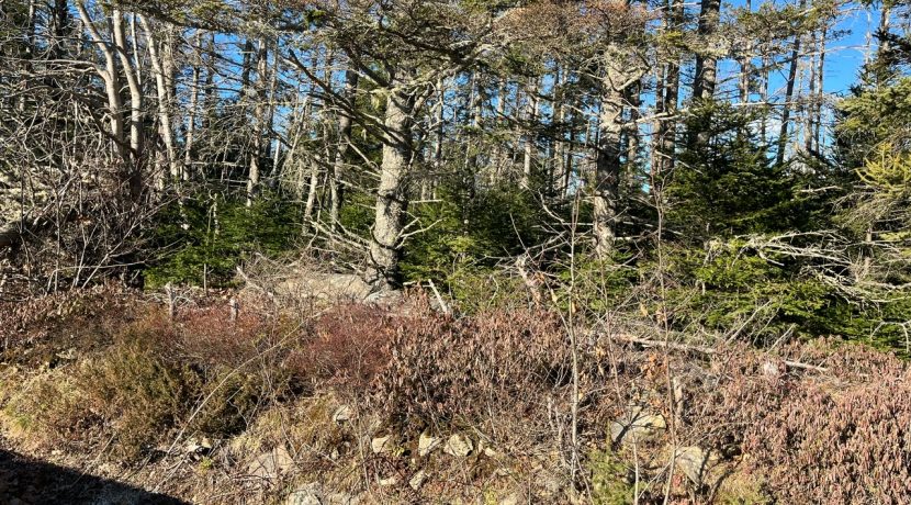 8F8763CA-03B8-485B-95A1-E8CE853240BE