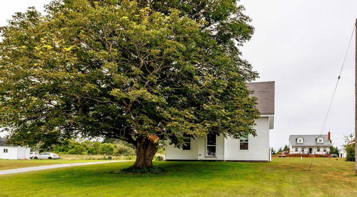 Untitled design.zip - 8