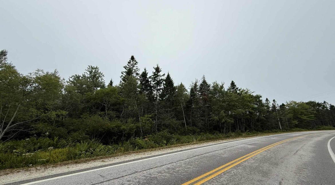 att.Grgm97n1YfV_RcAMvh2YmfohiDnDXgmi4s4YkEaX-vY