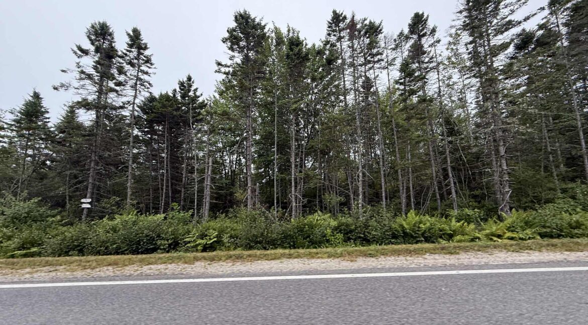 att.qWeWABw7a7MGCY4JsFUi2q2UySQ74v-Dfgr7liWavjs