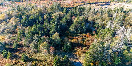 Lot – Greenville Road, Yarmouth