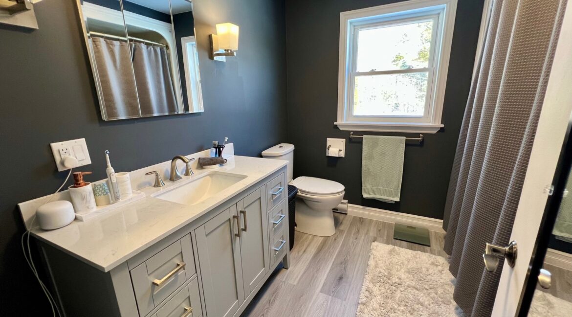 Untitled_design_-_1__2