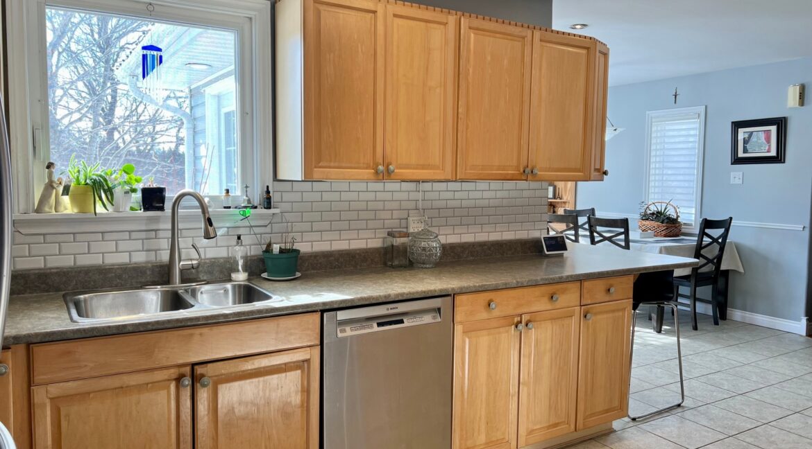 Untitled_design_-_2__2_1