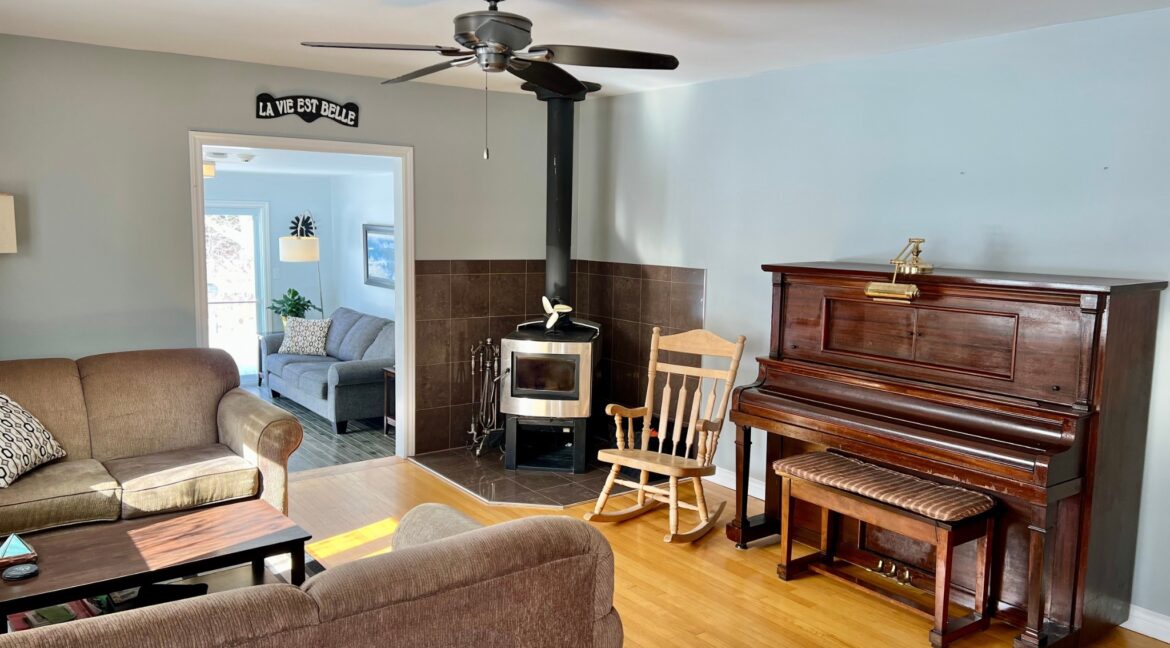 Untitled_design_-_5__2