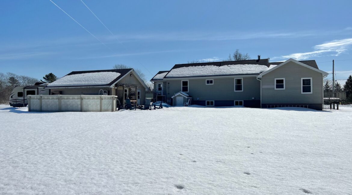 Untitled_design_-_7__2_2