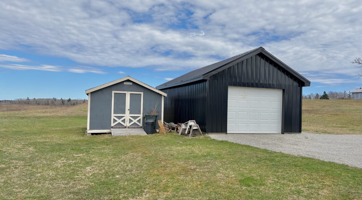 Joy_20260418_150401_374_photo