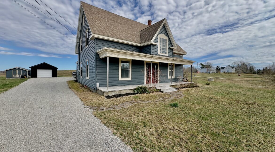 Joy_20260418_150445_343_photo