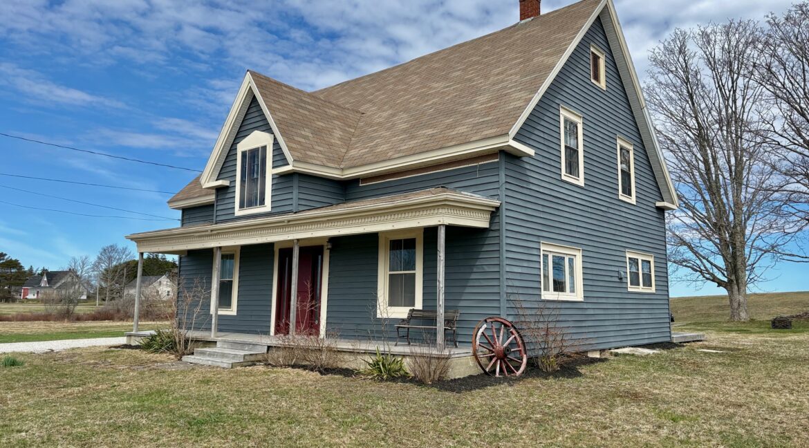 Joy_20260418_150558_846_photo